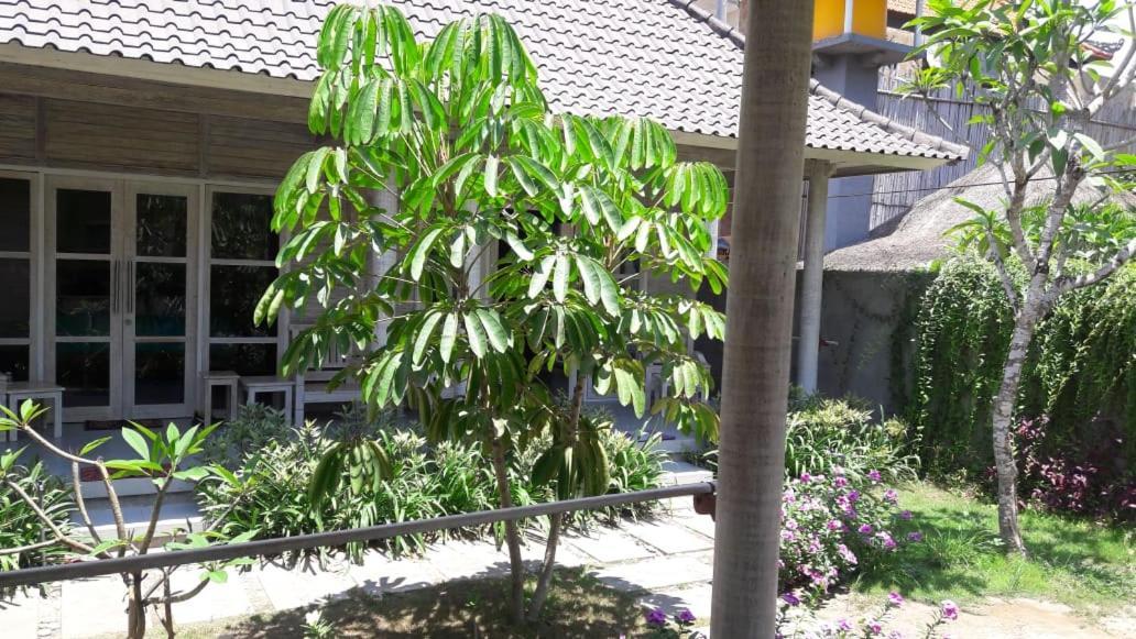 Vista Huts Lembongan Ξενοδοχείο Εξωτερικό φωτογραφία
